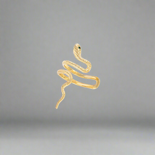 SNAKYEAR