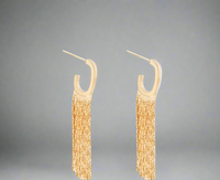 TASSEL